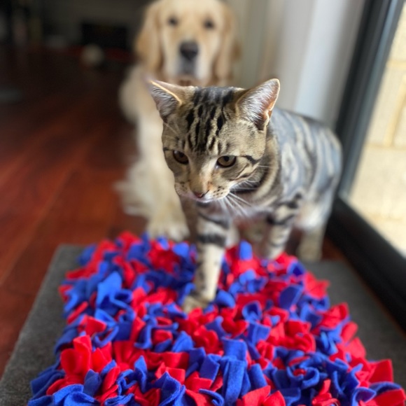 TIMMY’S SNIFFYS - MEDIUM SNIFF MAT 35cm x 35cm - Picture 3 of 5